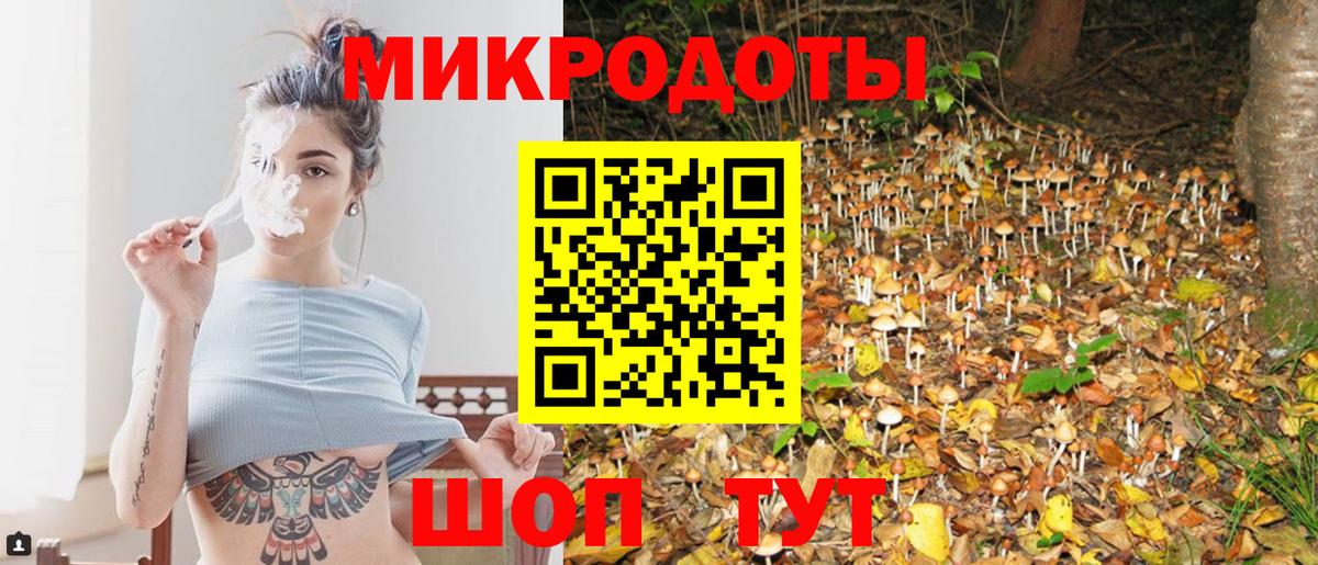 Галлюциногенные грибы ЛСД Аргун