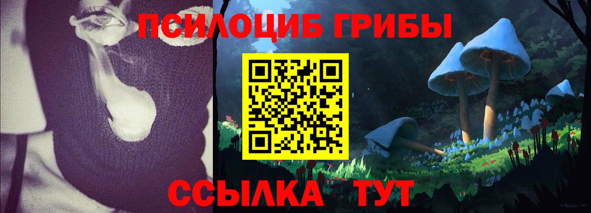 Аргун  Псилоцибиновые грибы GOLDEN TEACHER  Вход с VPN 